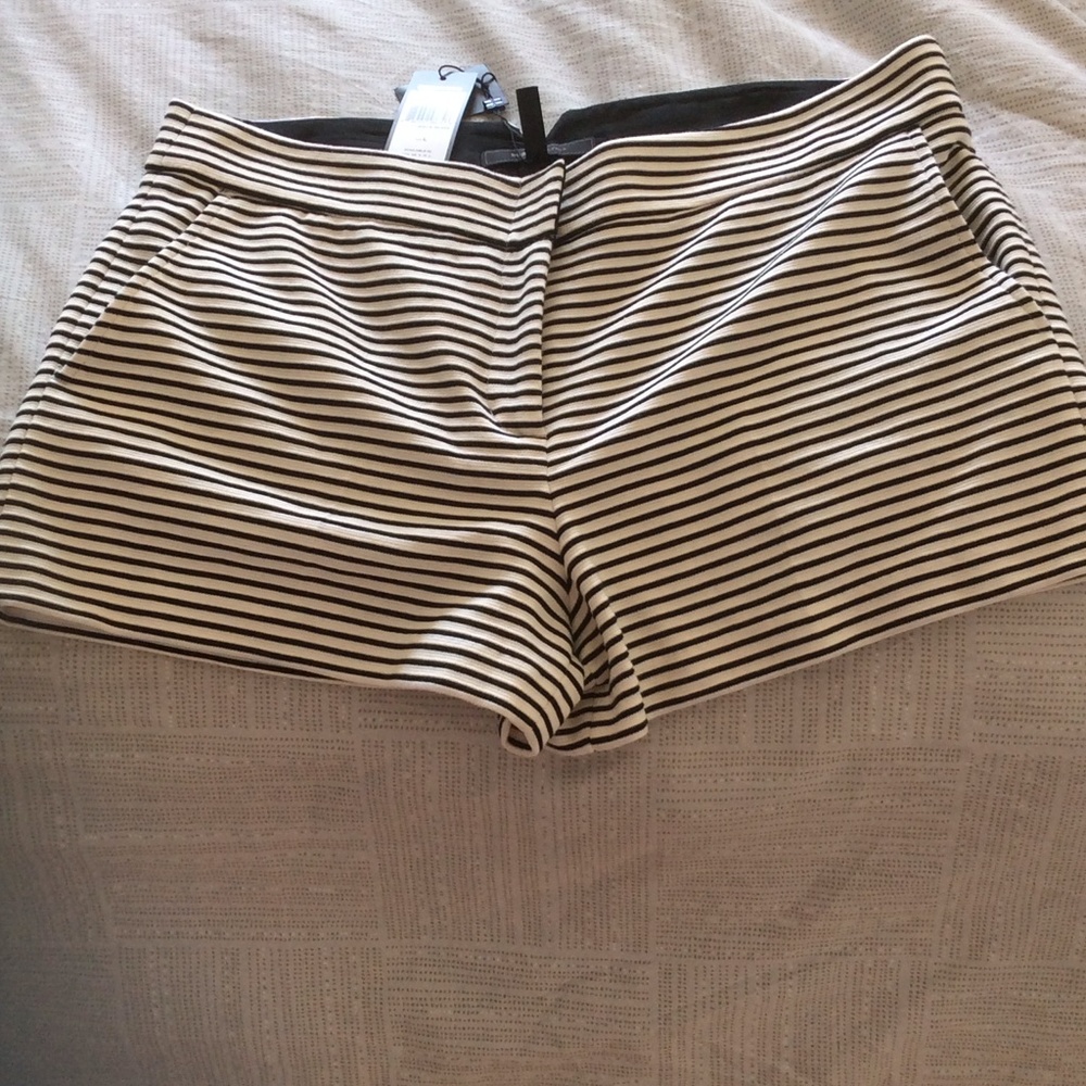 BCBG Shorts